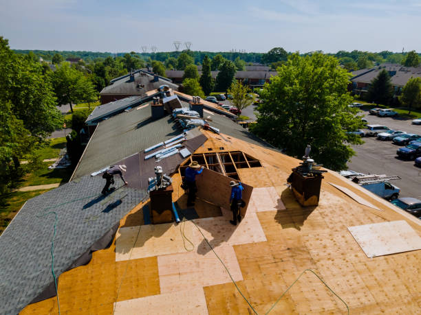 Best Storm Damage Roof Repair  in El Sobrante, CA
